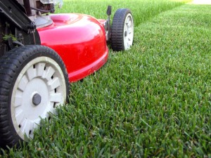 Gardener included at El Toro Blanco - holiday retal